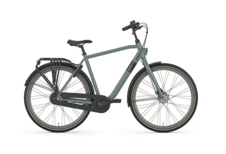 Vélo de ville Gazelle Esprit vert