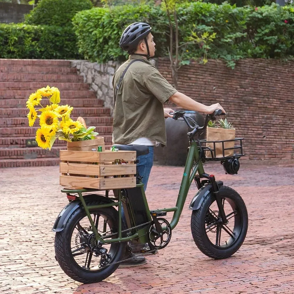 Fiido T1 Pro Vélo cargo électrique – Image 3