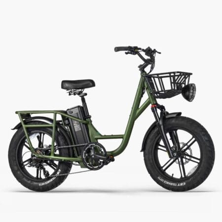 Fiido T1 Pro Vélo cargo électrique