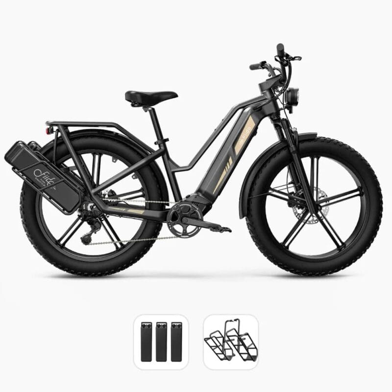 Fiido Titan - Vélo Électrique de Transport Robuste – Image 5