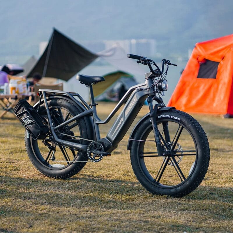 Fiido Titan - Vélo Électrique de Transport Robuste – Image 4