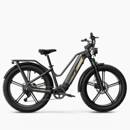 Fiido Titan - Vélo Électrique de Transport Robuste