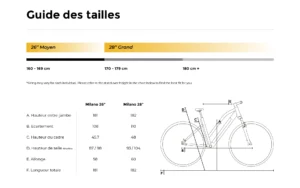NCM Milano Plus Vélo Electrique Trekking 250W Batterie 48V 16Ah 768Wh