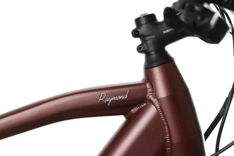 Bicyklet Raymond 504 Wh 27.5" rouge