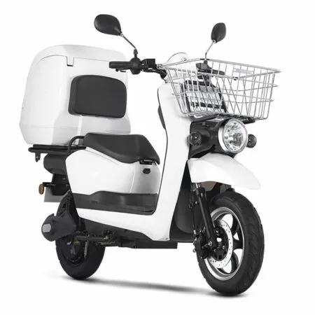 Scooter Electrique Rider Pro Cargo